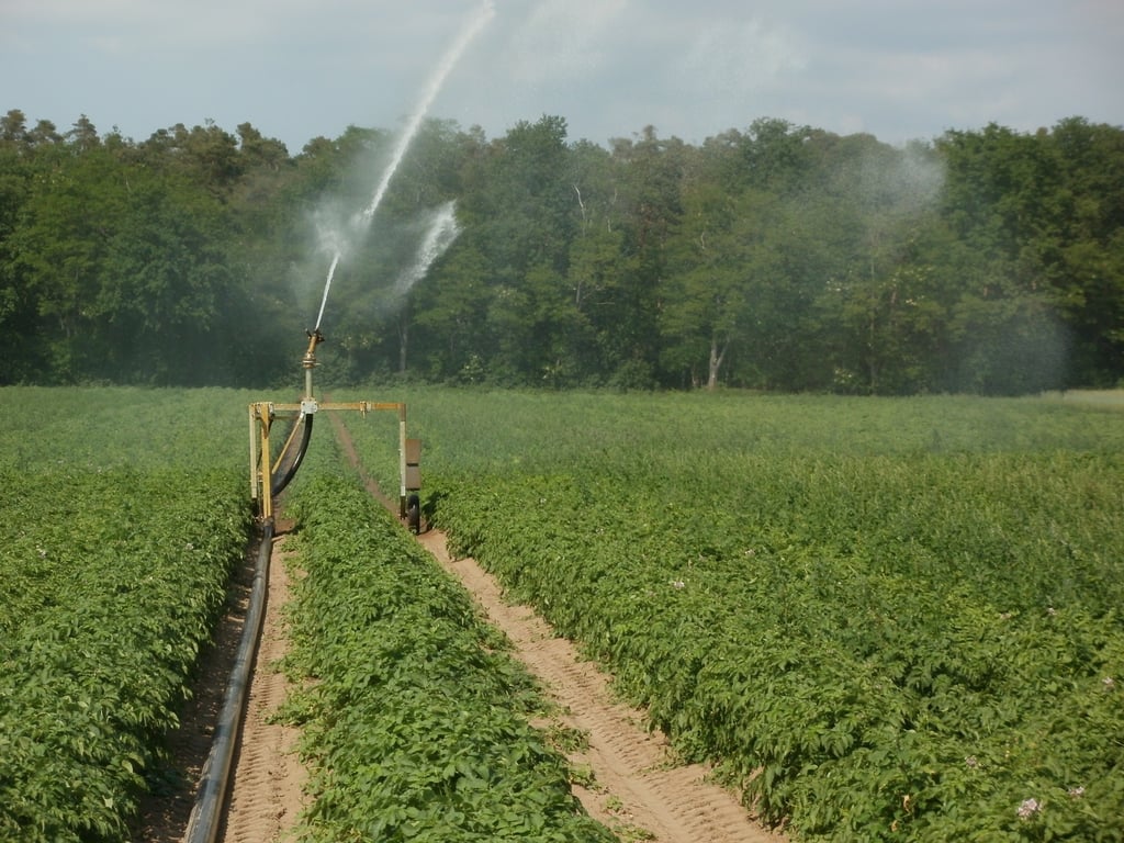 lawn sprinkler irrigation