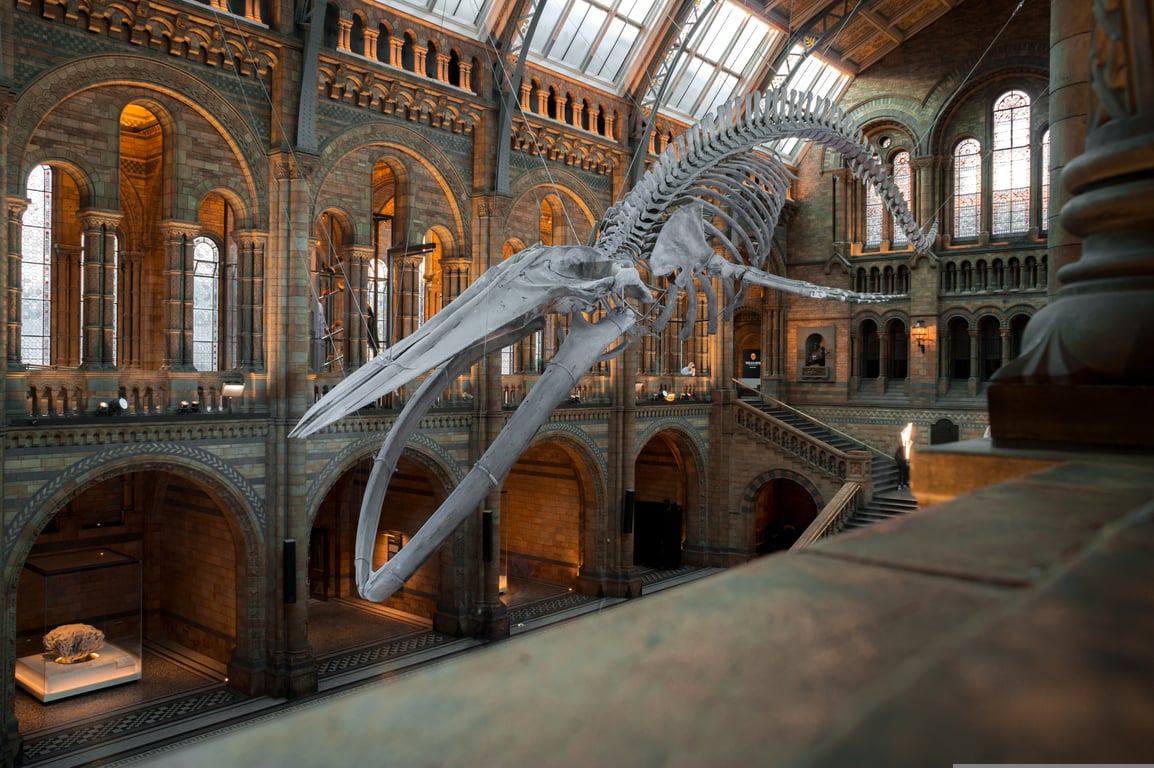 National Cinema Museum Turin