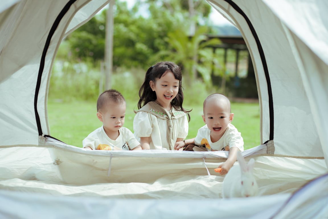 termite fumigation tent