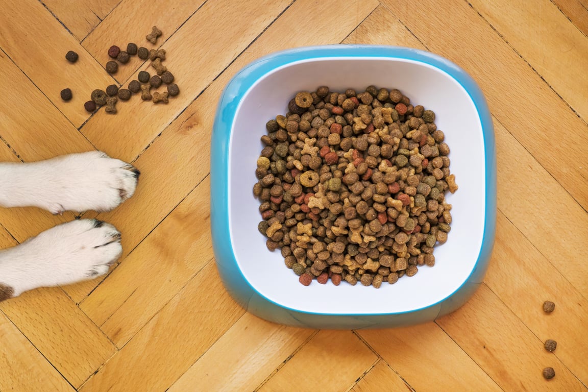 Royal Canin Veterinary Diet pet food