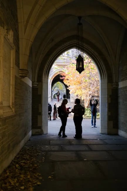 Image describing Top 7 Scholarships in Canada for 2025 You Must Know