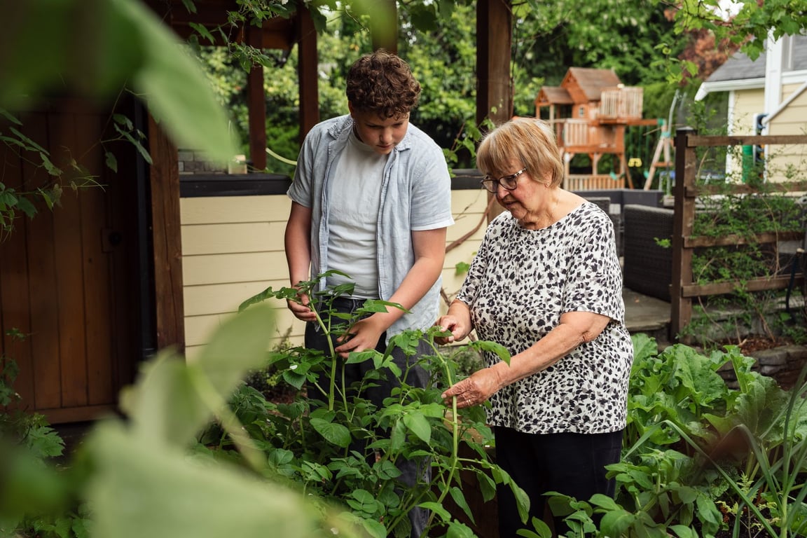 Cedarhurst Senior Living: What Families Should Compare Before Choosing Care