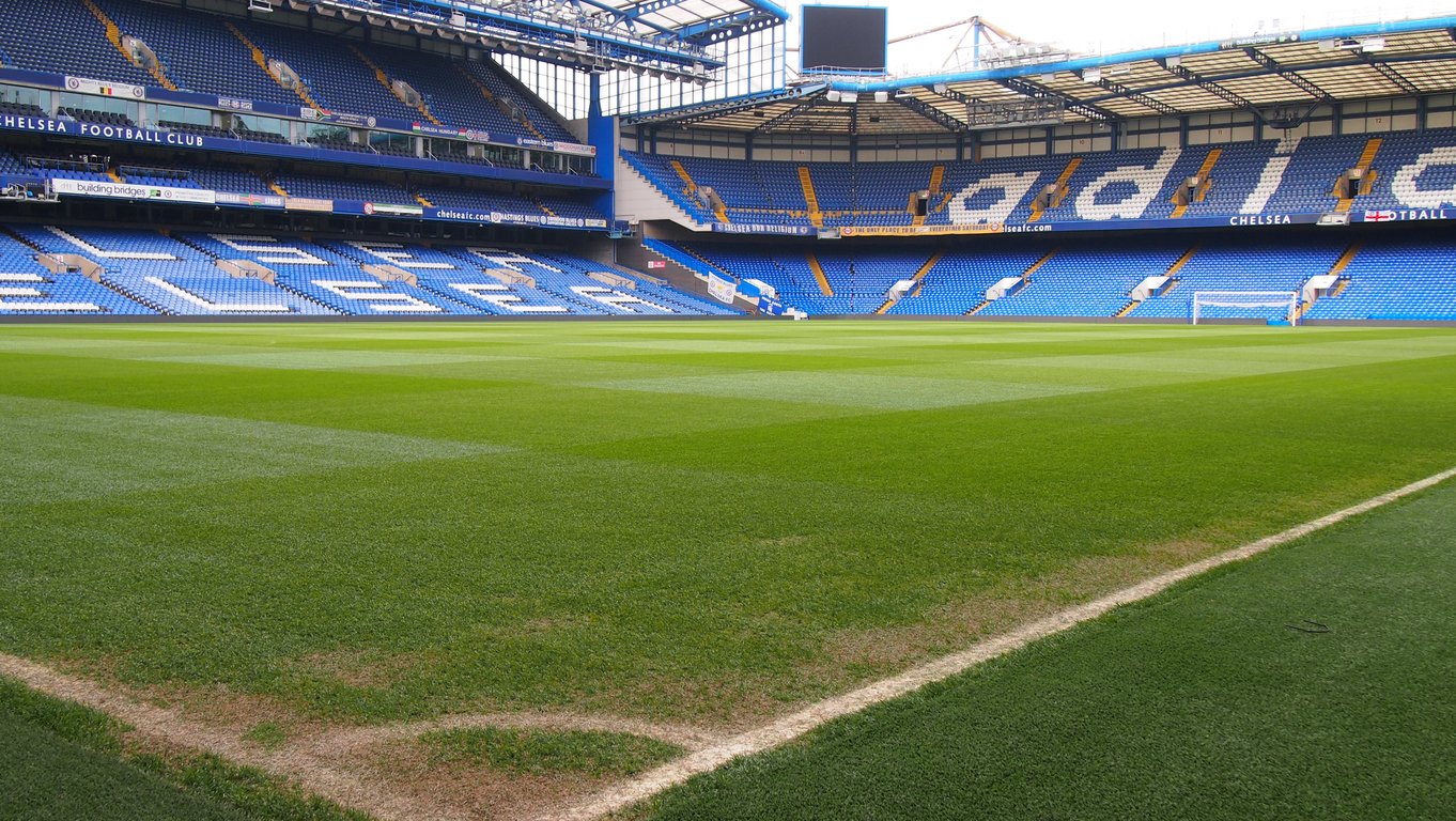 Chelsea supporters watch party