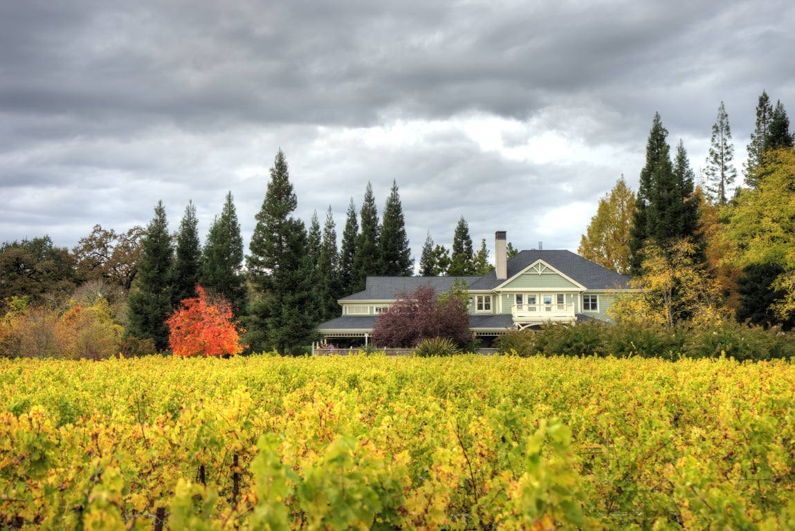 Artesa Vineyards Winery Napa Valley