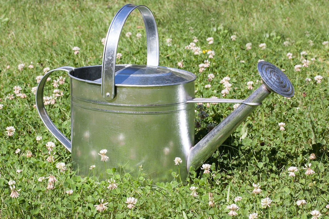 lawn sprinkler irrigation