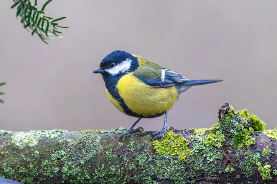 Image describing 10 Best Tweets That Will Blow Your Mind in 2025!