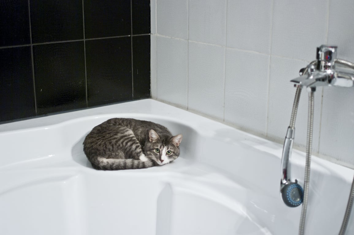 bathroom shower waterproofing