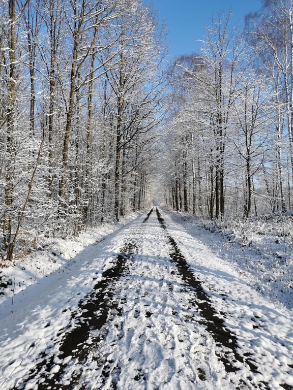 winter tires in snow
