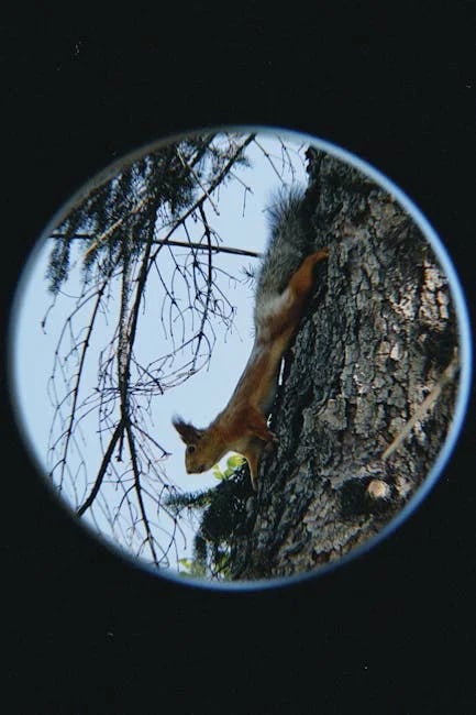 Image describing Top 7 BI Tools for 2026 Which One Wins Now?