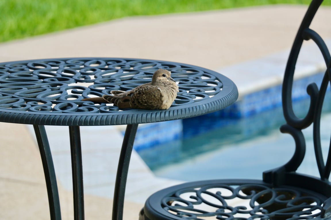 garden patio installation