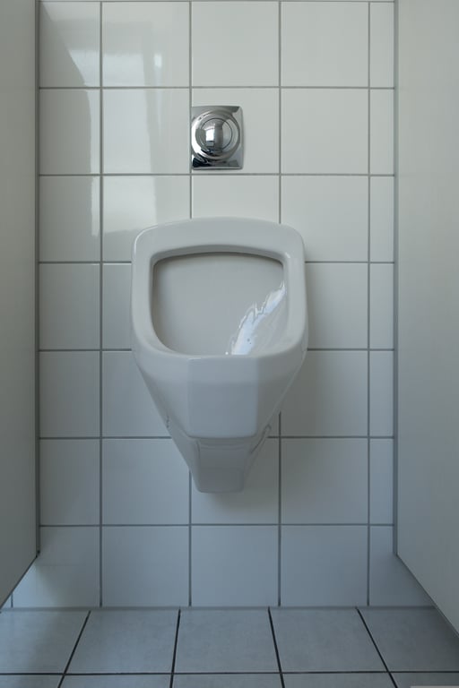 toilet plumbing