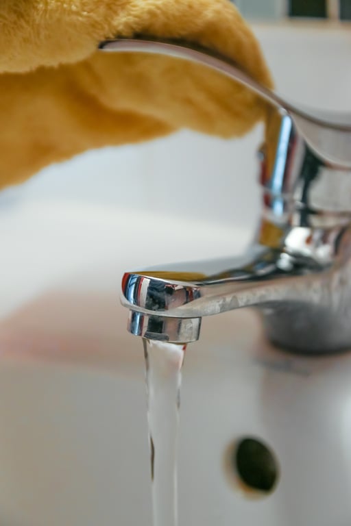 bathroom deep cleaning