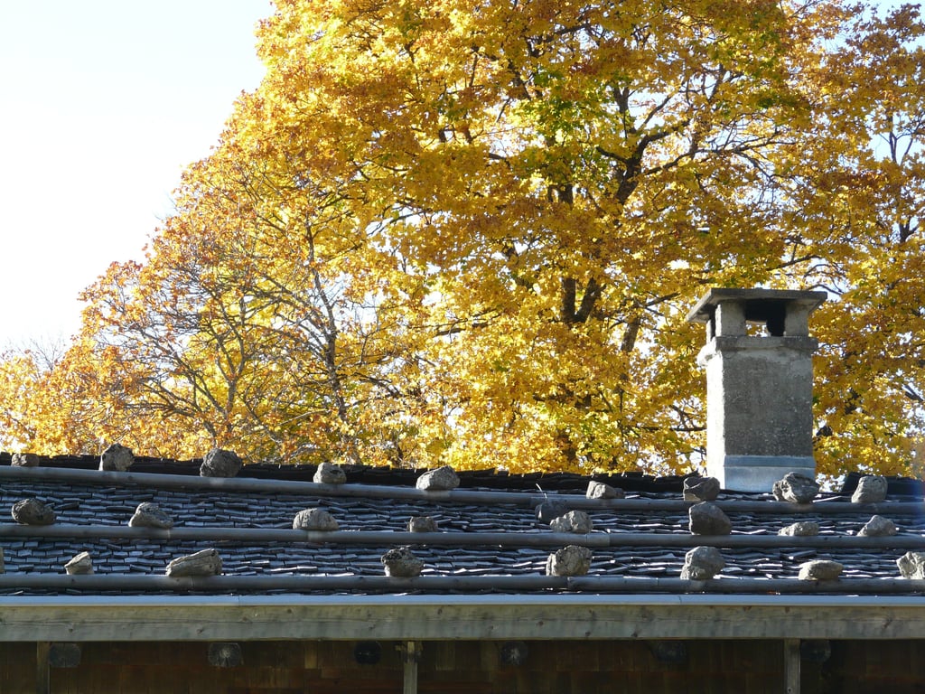 asphalt shingle roof inspection