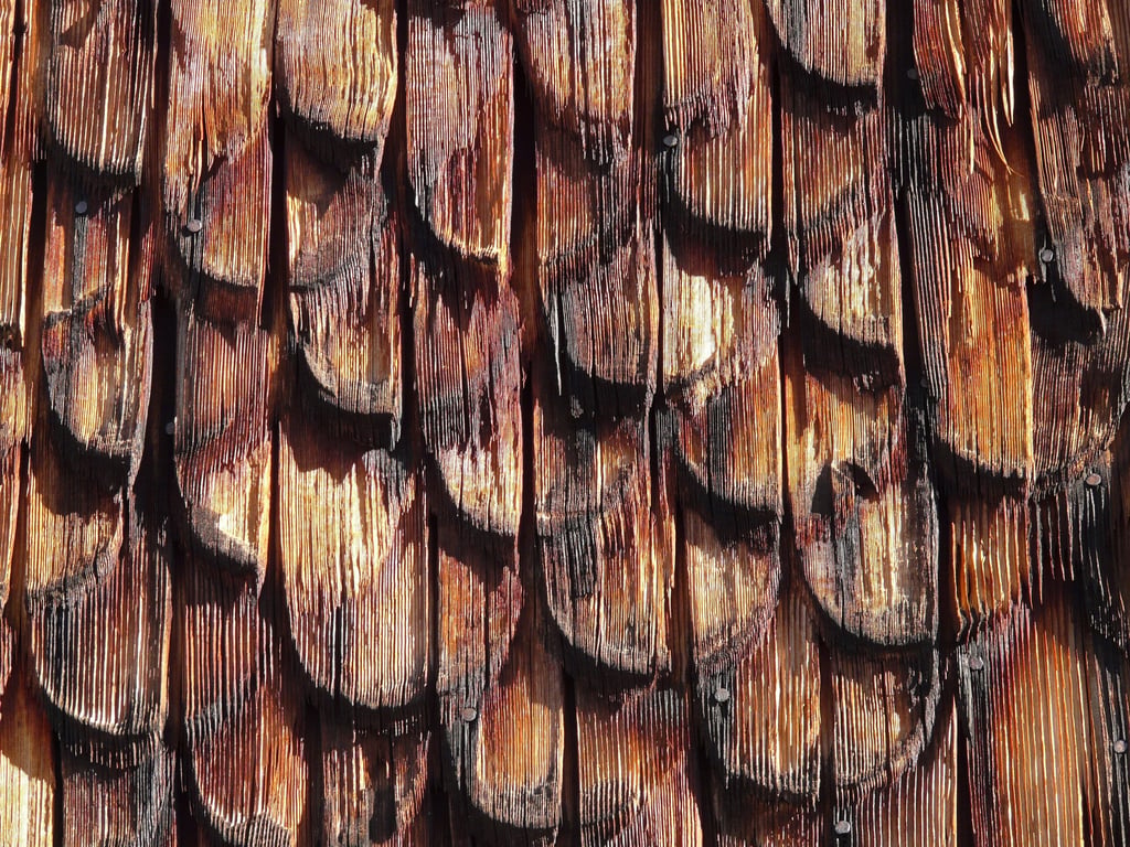 roofing contractor inspecting shingles