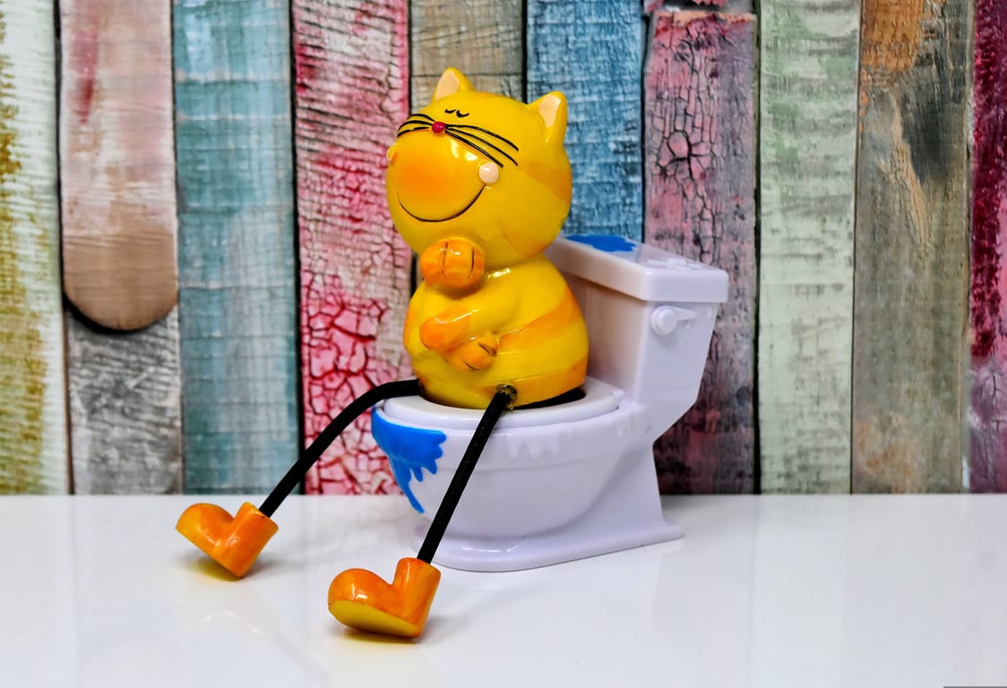 plumber installing toilet