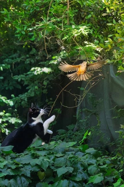 Image describing Chase vs Amex 5 Reasons One Will Dominate in 2025