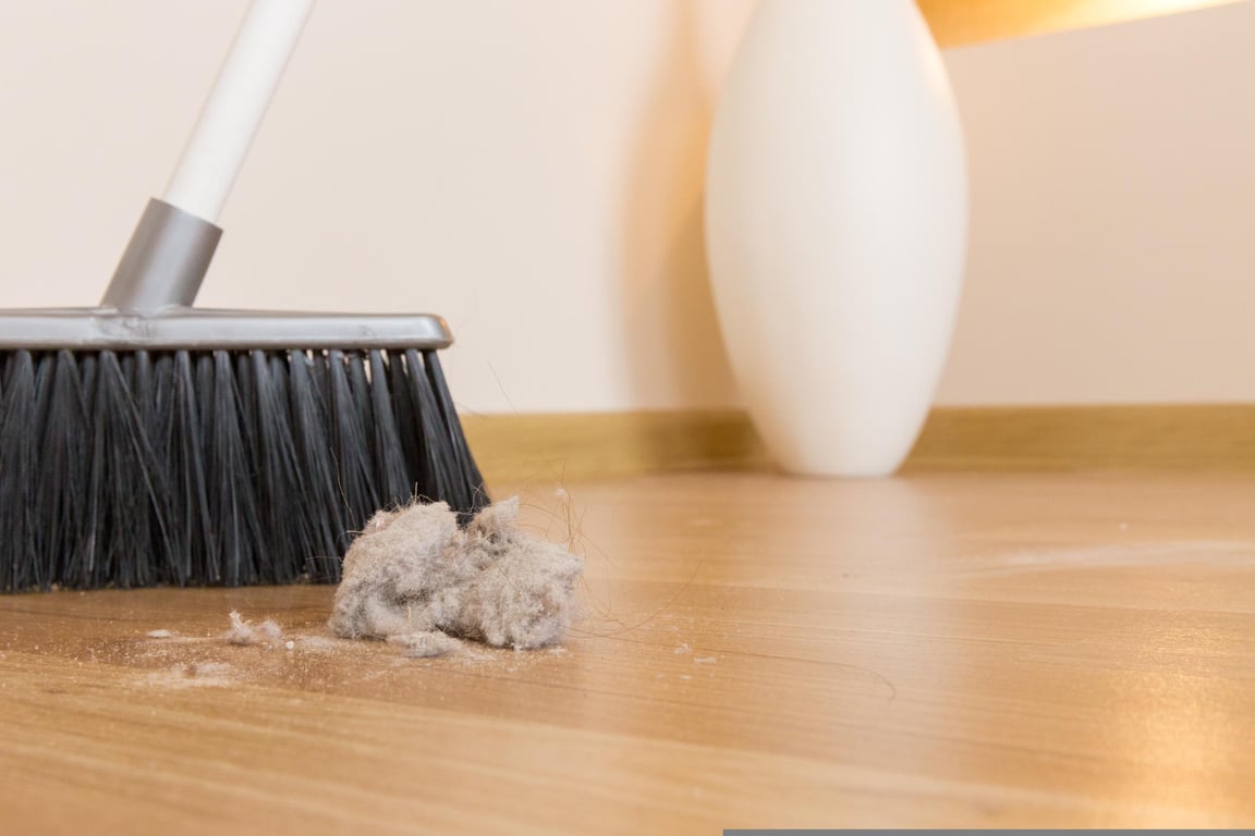 professional house cleaning