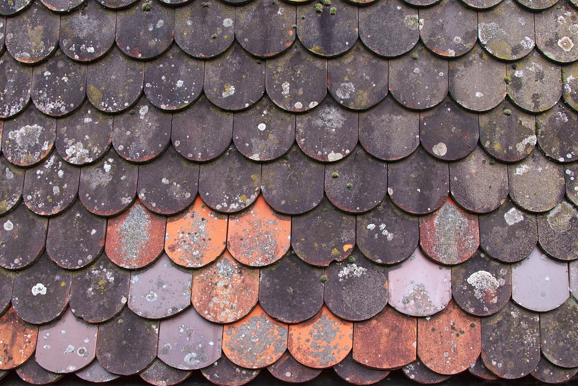 roofer inspecting residential roof