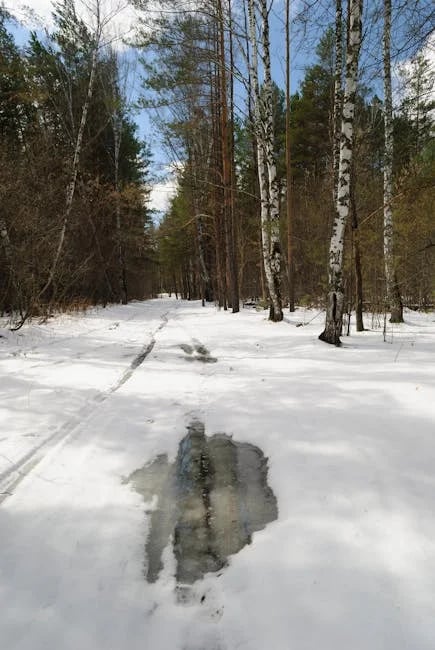 Image describing Best 15 Free Android Games You Must Play Now!