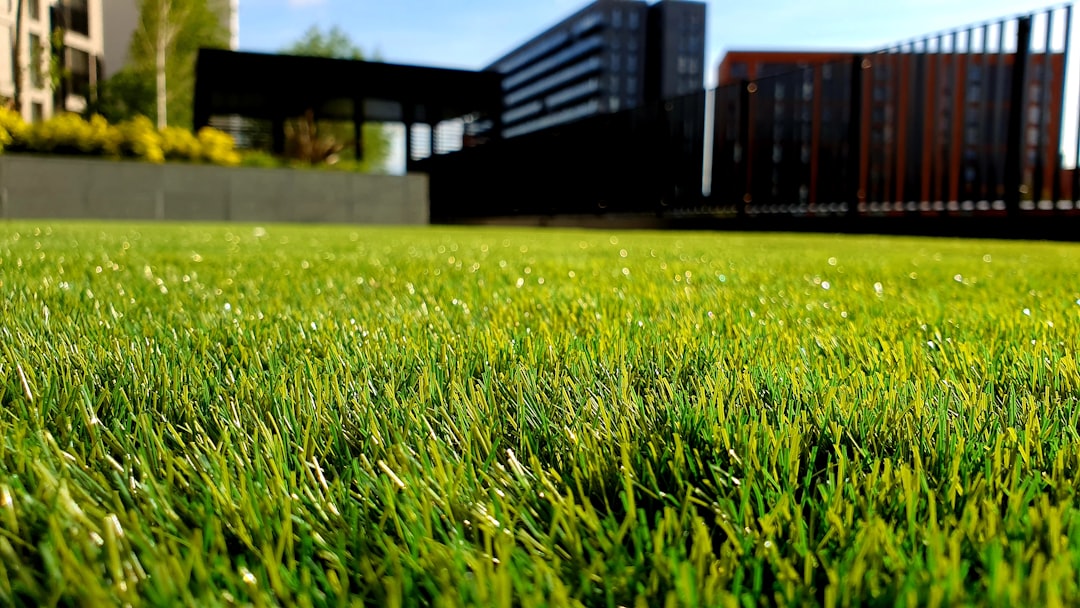 Lawn Care Companies Near Me: How to Choose the Right Service for Your Yard