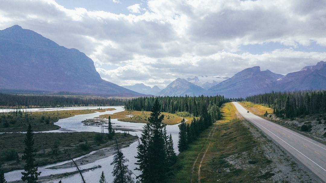 Forest River RV Replacement Parts: How to Match the Right Components to Your Travel Trailer
