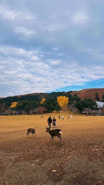 Image describing Discover the Top 5 Best Student Loan Hacks for 2025!