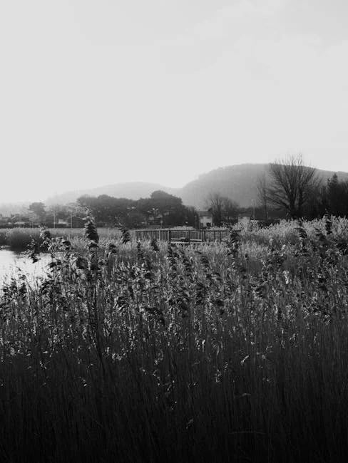 Image describing How to Profit Now 7 Proven Blackstone REITs Tips 2026