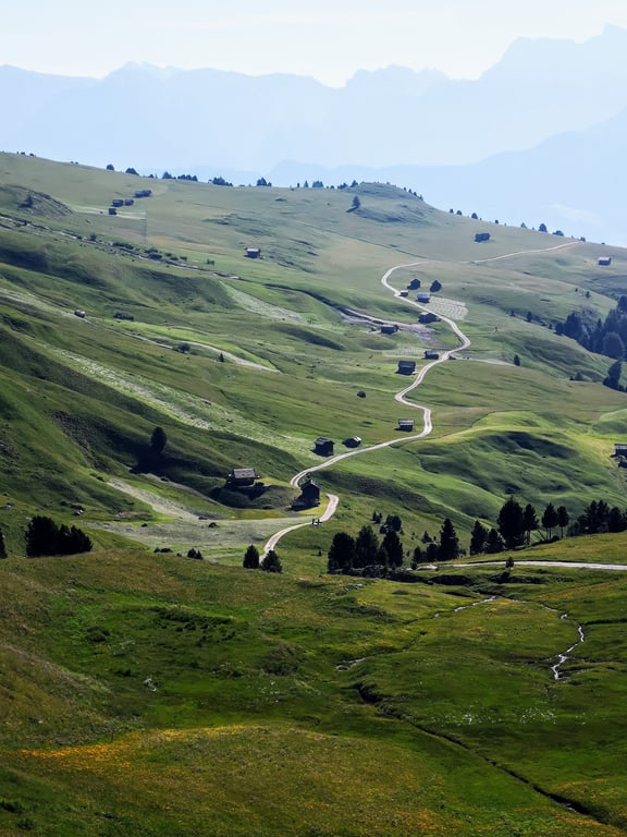guided group hiking trail