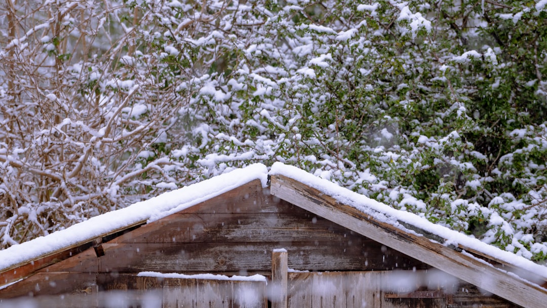 NW Roof Maintenance: A Practical Seasonal Checklist for Homeowners