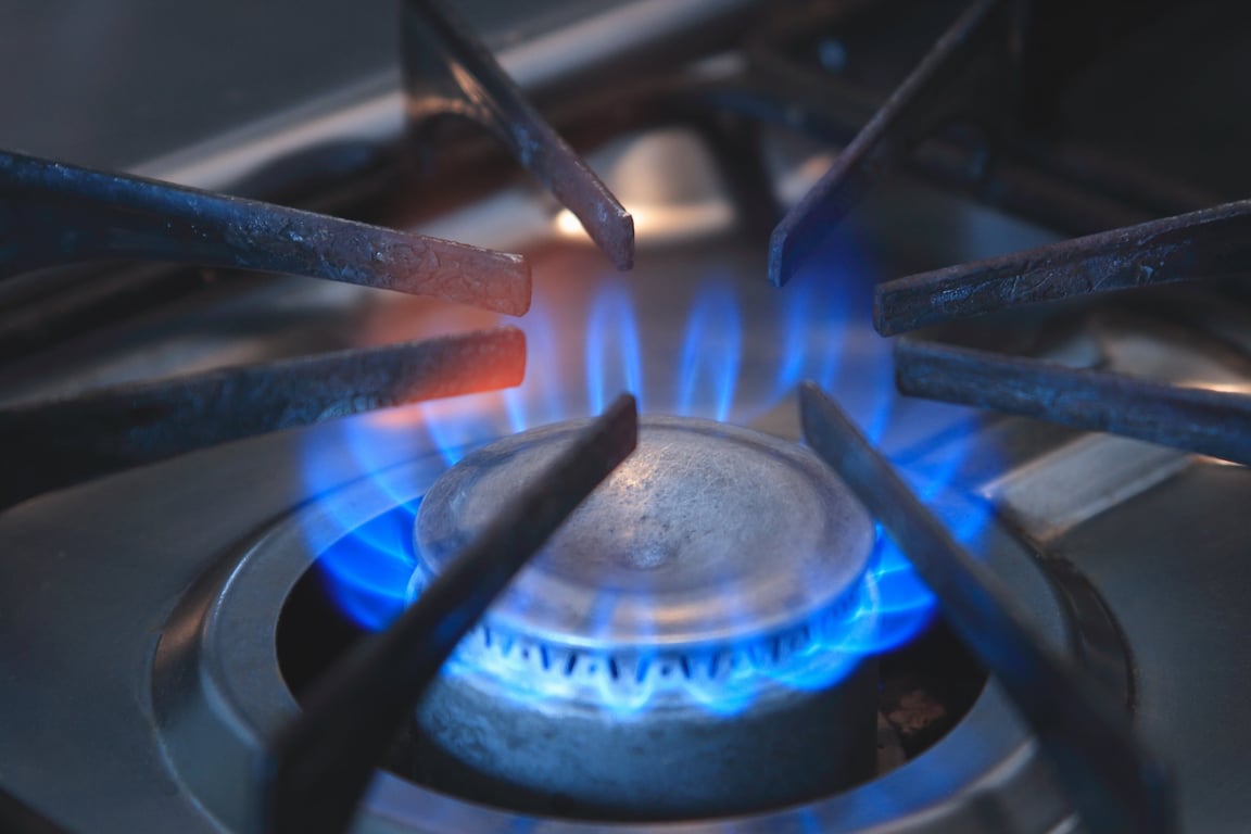 Camp Chef Explorer 2 Burner Stove