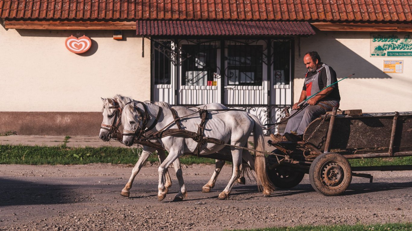 Horse Trailer Repair Near Me: How to Choose a Safe, Reliable Service