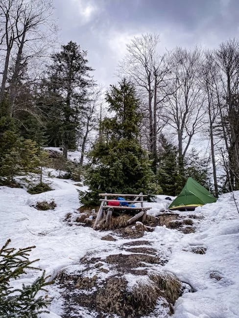 Image describing Top 7 Best REIT Dividend Picks for 2026—Start Now?