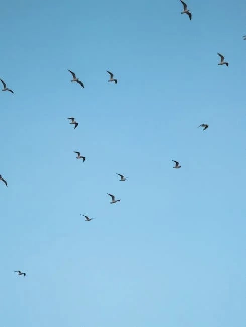 Image describing 9 Best Flight Credit Cards You Must Have in 2025!