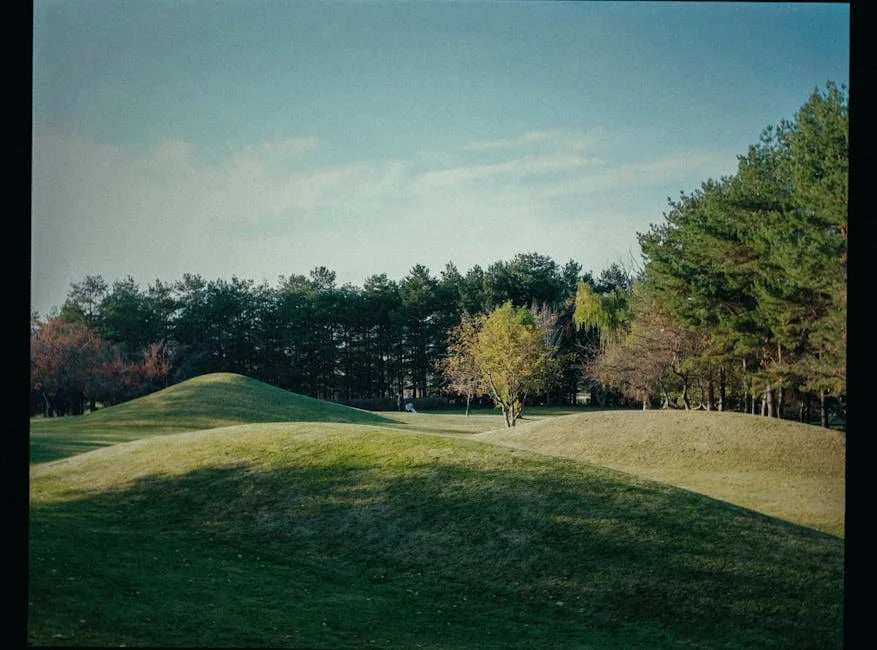 Image describing Discover the Best Bellair Golf Park Tips for 2025!