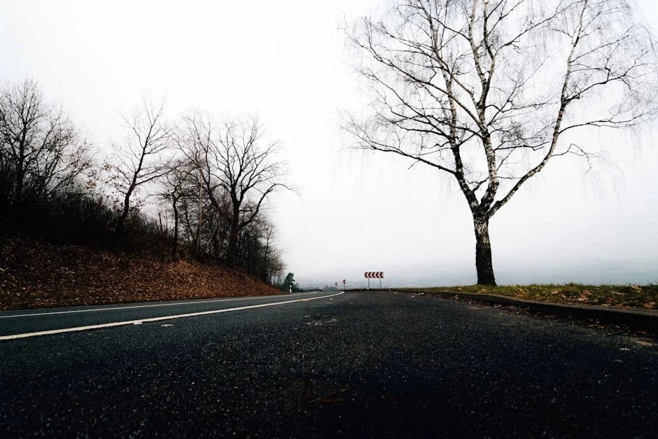 Image describing Top 10 Best Turn-Based Android Games to Play Now!