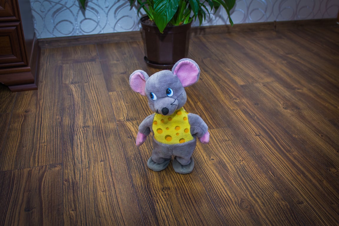 mouse traps home