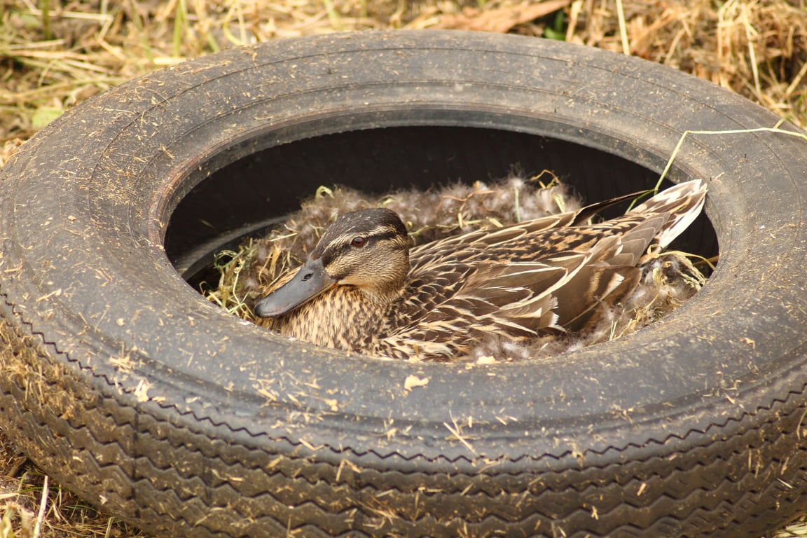tire puncture repair