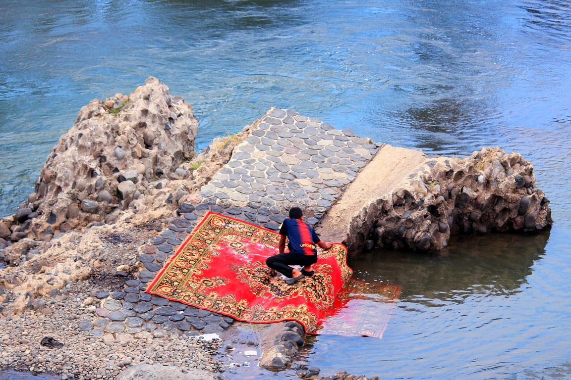 professional rug cleaning