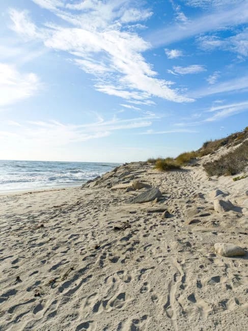 Image describing Discover the 5 Secrets of Heaven by Marc Jacobs Now!