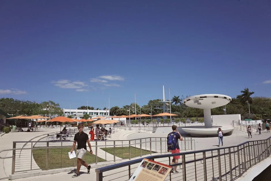 Image describing Top 10 Best U.S. Colleges You Must Apply to in 2025!