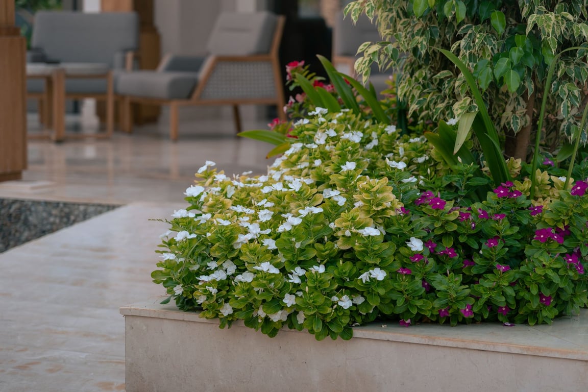 Landscape Hardscape Near Me: How to Compare Local Design and Installation Services