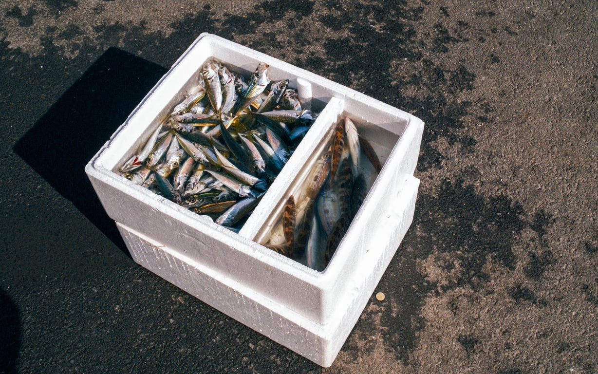 Fish Box Buying Guide: Choose the Right Storage for Every Catch