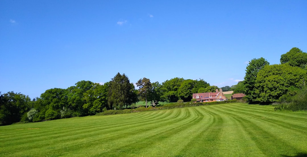 Garden Maintenance Services: What to Compare Before You Hire