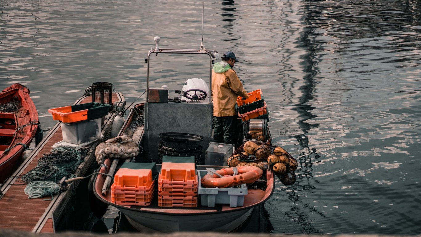 Fishing Electronics: What Matters Most Before You Buy