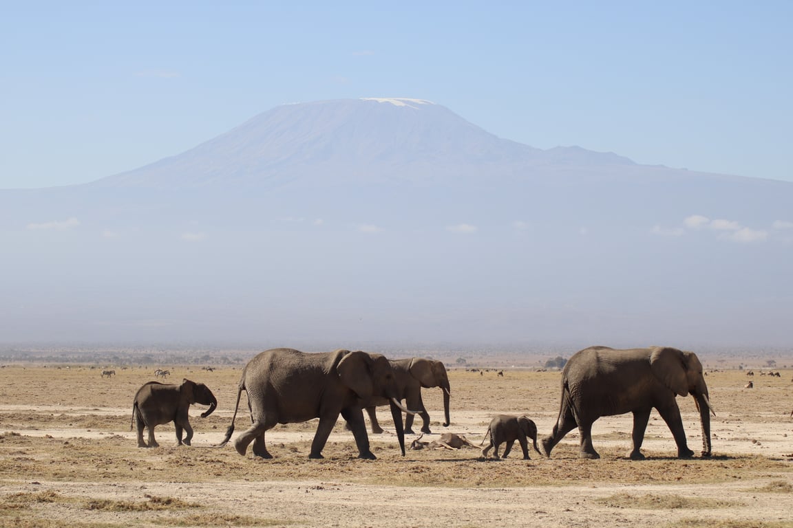 Mount Kilimanjaro hikers