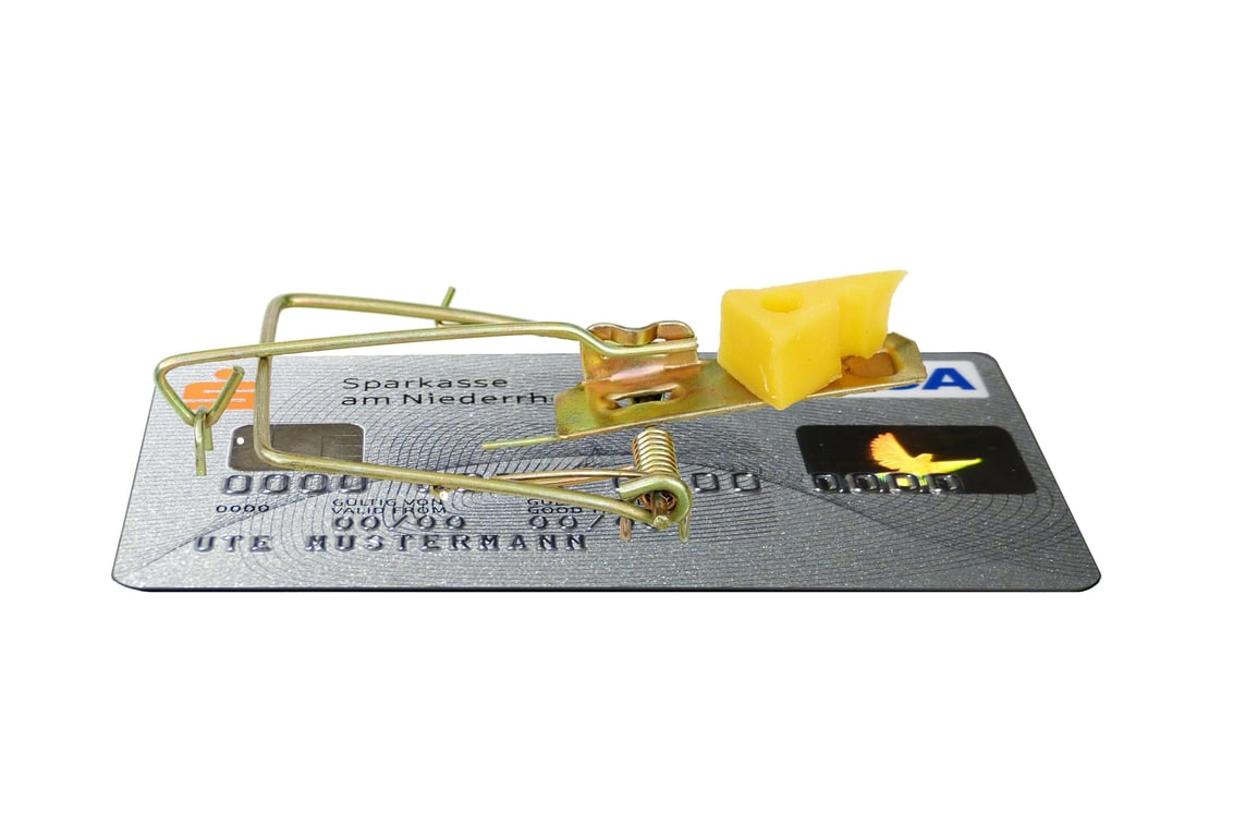 mouse trap