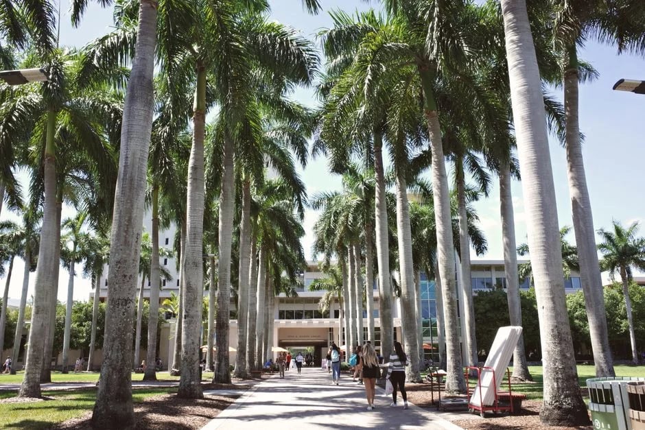 Image describing Top 10 Best Finance Colleges for 2026—Ranked Now!