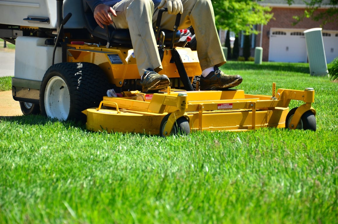 garden maintenance worker