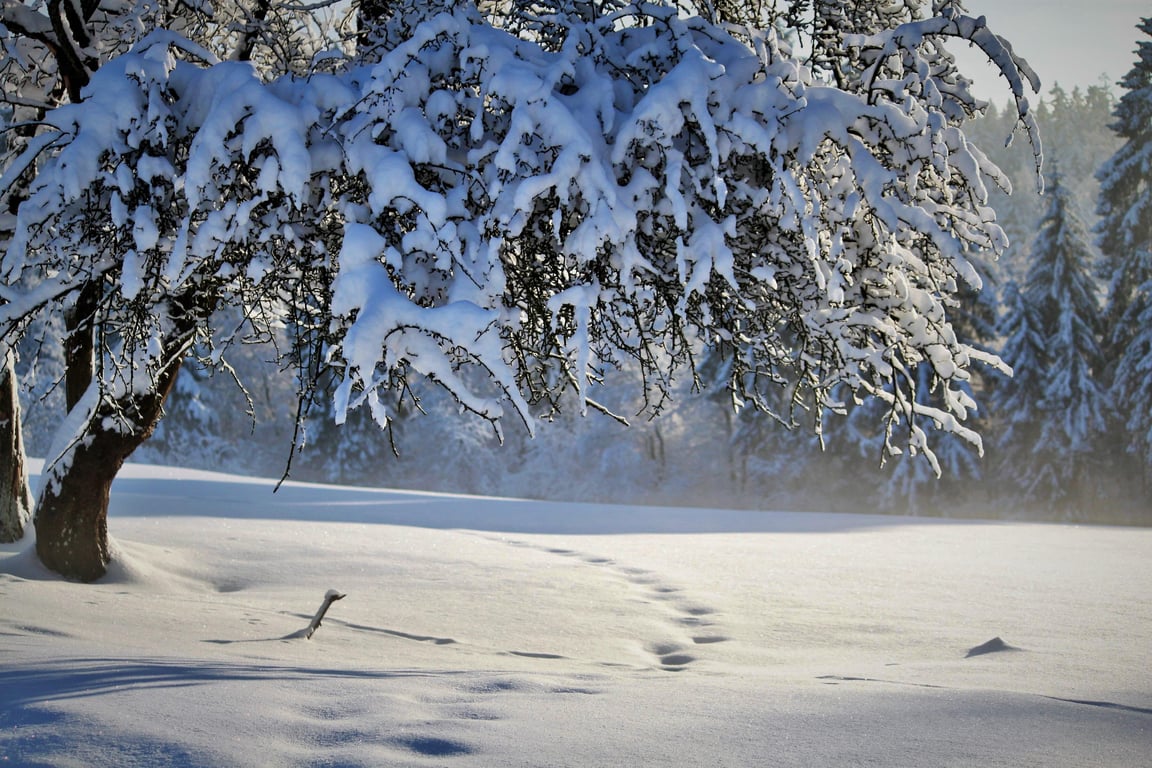 winter tire tread snow