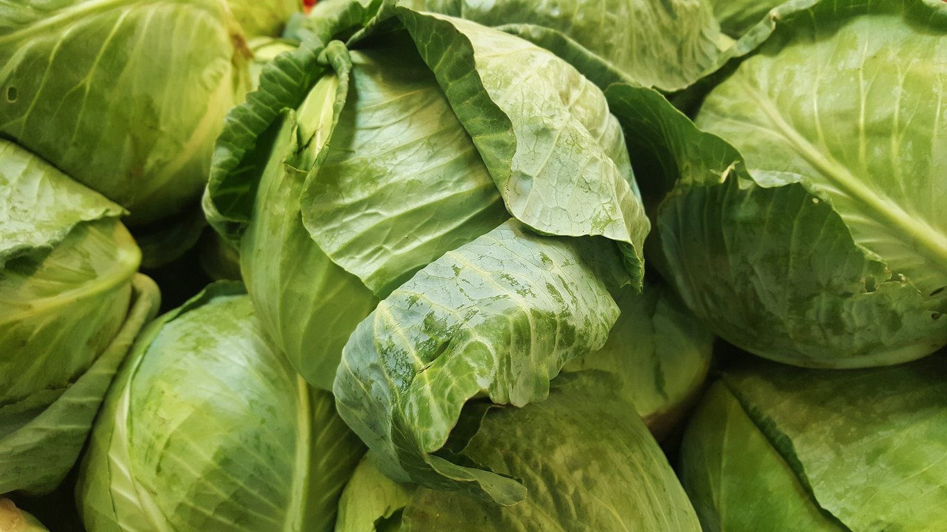 Wholesale License Essentials for Food Trailer Owners